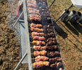 Sewers on charcoal - L.A party and events hire